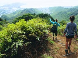 Whitney Perkins Witt-Hiking Trails